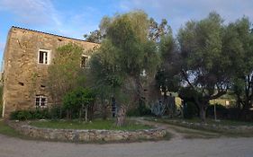 Domaine Ostriconi