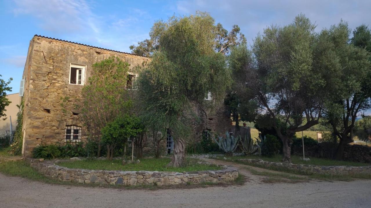 Bed and Breakfast Domaine Ostriconi à Palasca  Extérieur photo